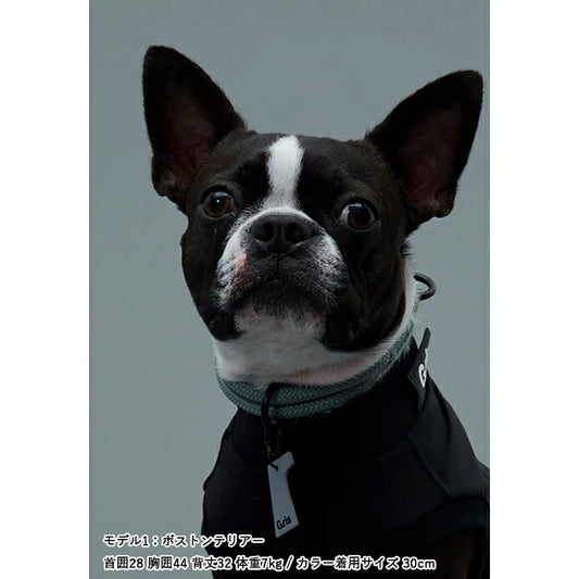 gris 003 1