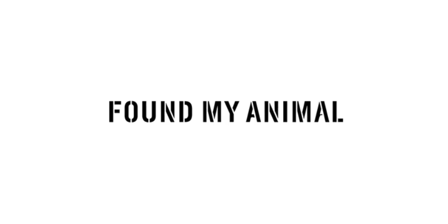 FOUND MY ANIMAL