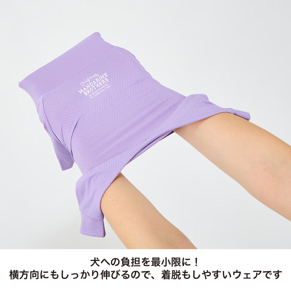 1368 0043 3