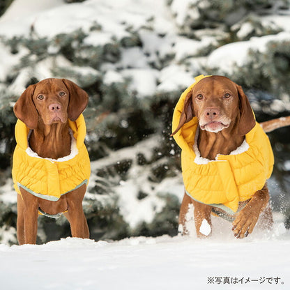 1401 0004 5