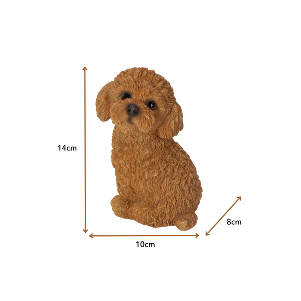 1516 0055 6
