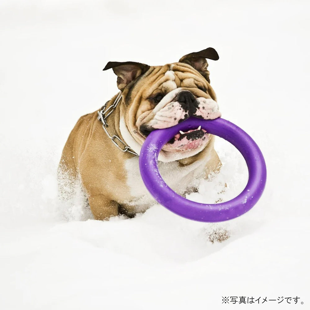 1531 0002 5