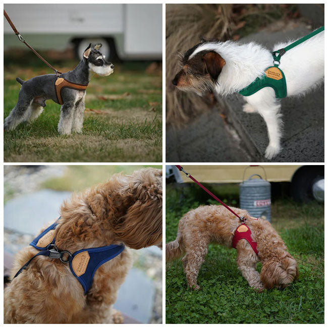 charlies 001 2