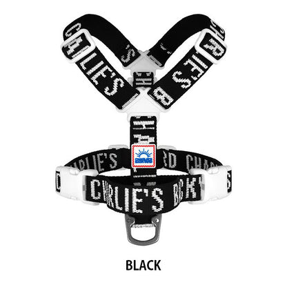 charlies 017 5