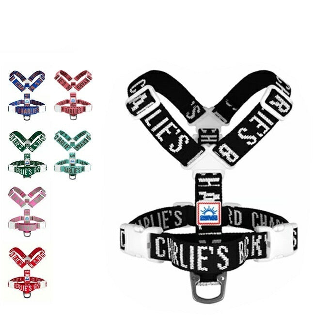 charlies 019