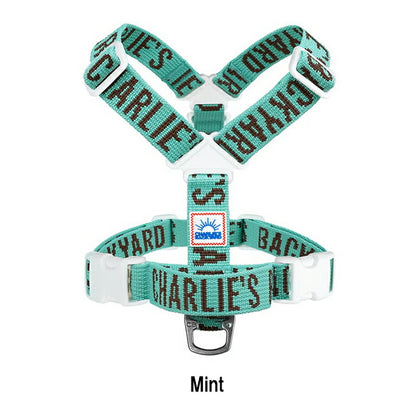 charlies 019 11