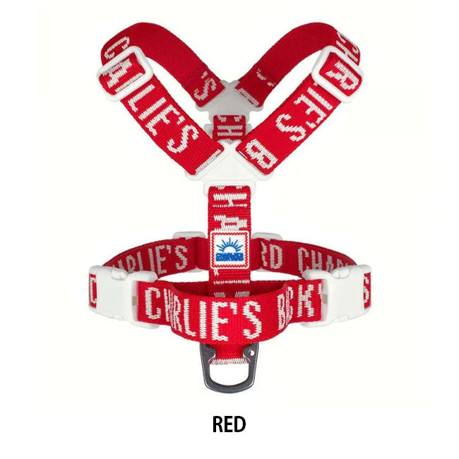 charlies 019 9