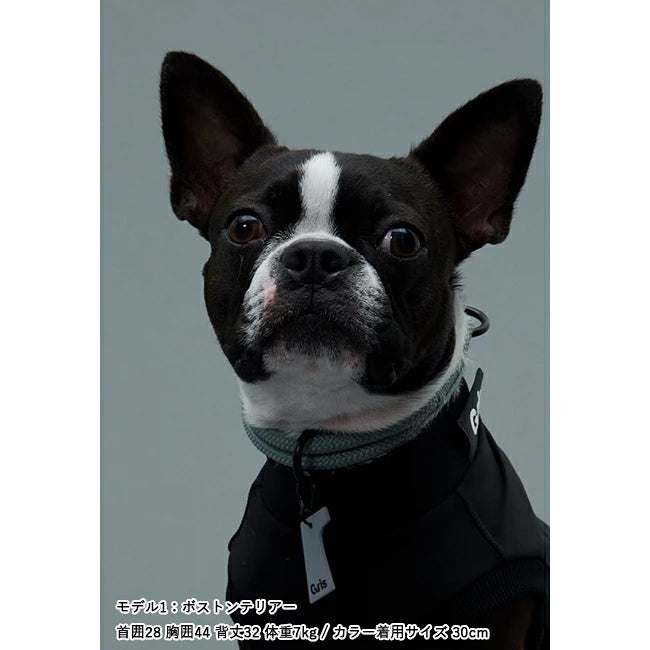 gris 003 1