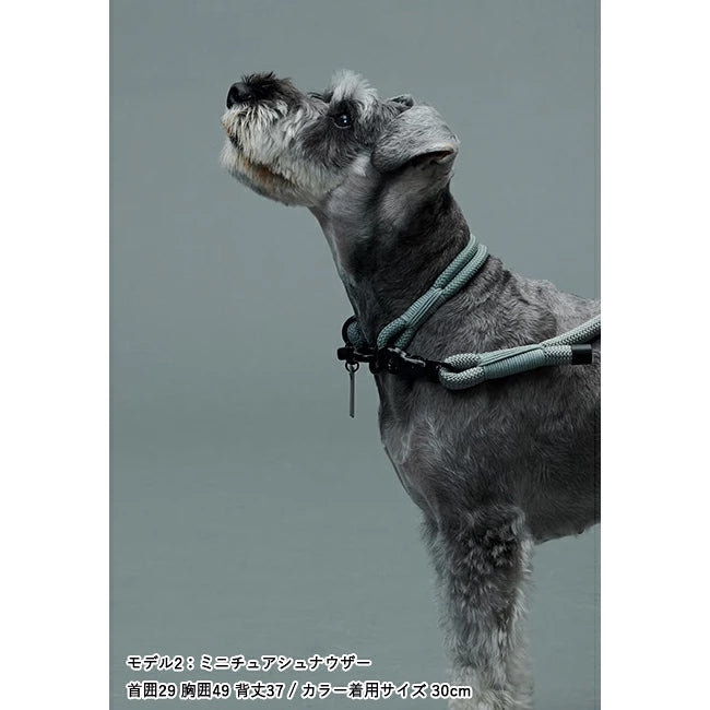gris 003 2