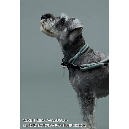 gris 003 2