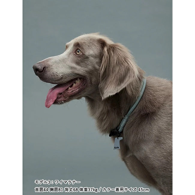 gris 003 3