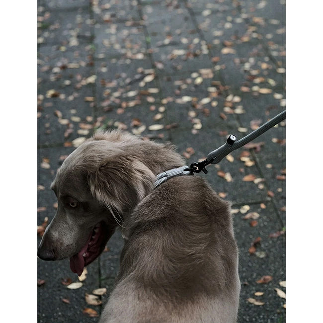 gris 009 3