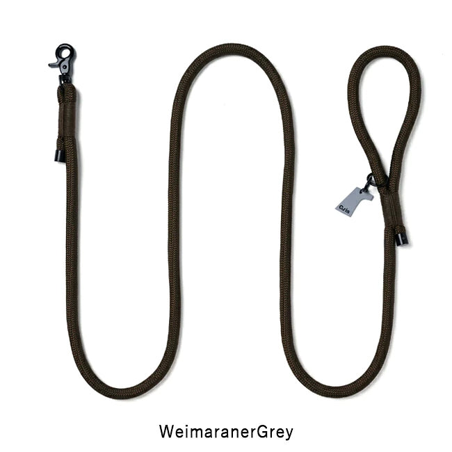 gris 009 8