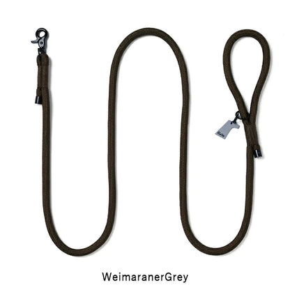 gris 009 8