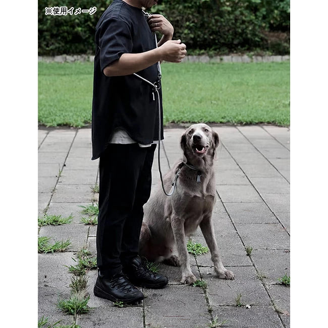 gris 013 1
