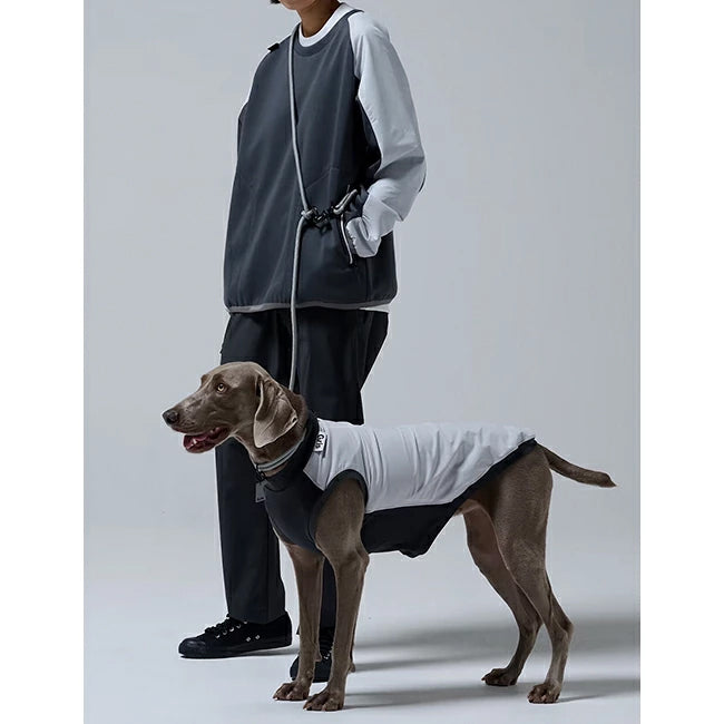 gris 013 3