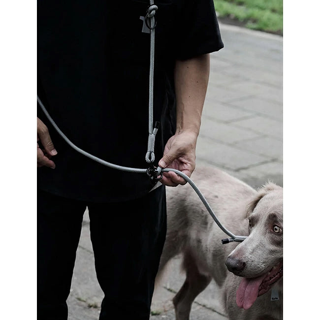gris 014 5
