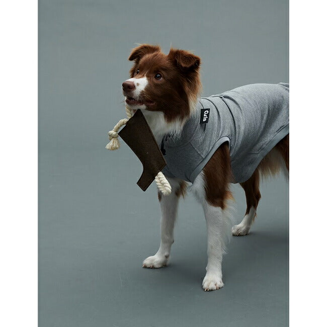gris 015 2