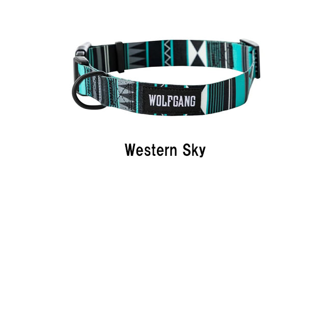 COLLAR M カラー WC-002
