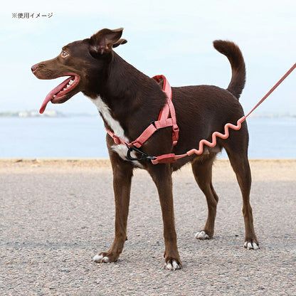 zeedog 009 6