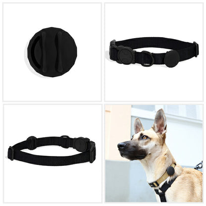 zeedog 024 1