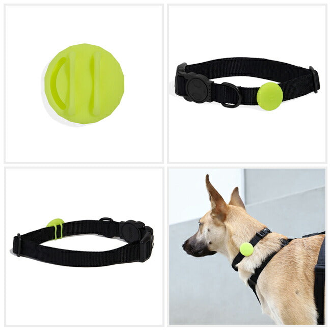 zeedog 024 3