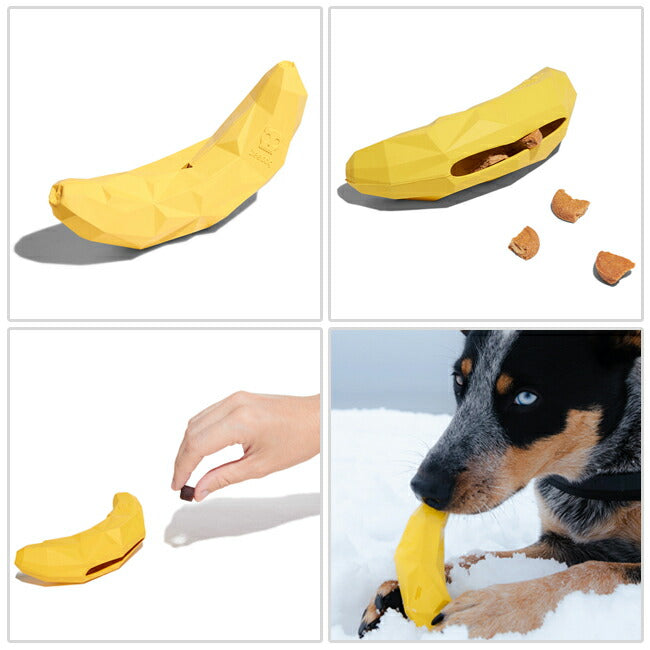 zeedog 035 1
