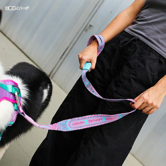 zeedog 048 6