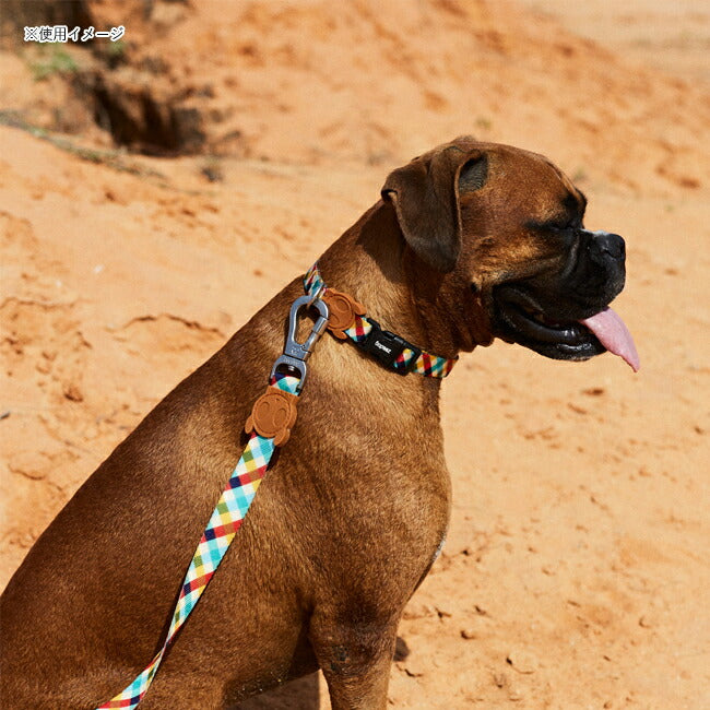 zeedog 054 2