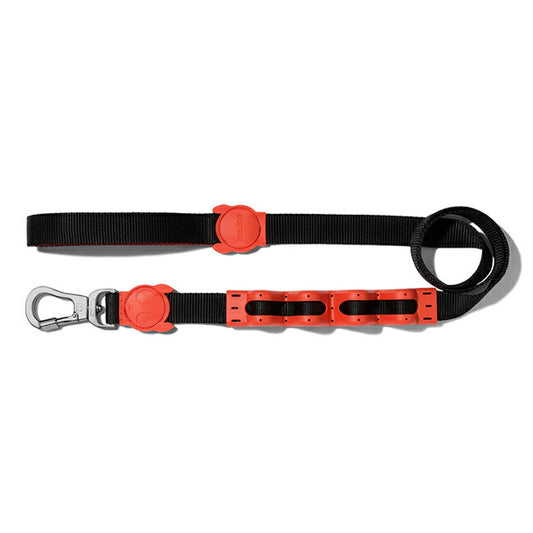 zeedog 059 1