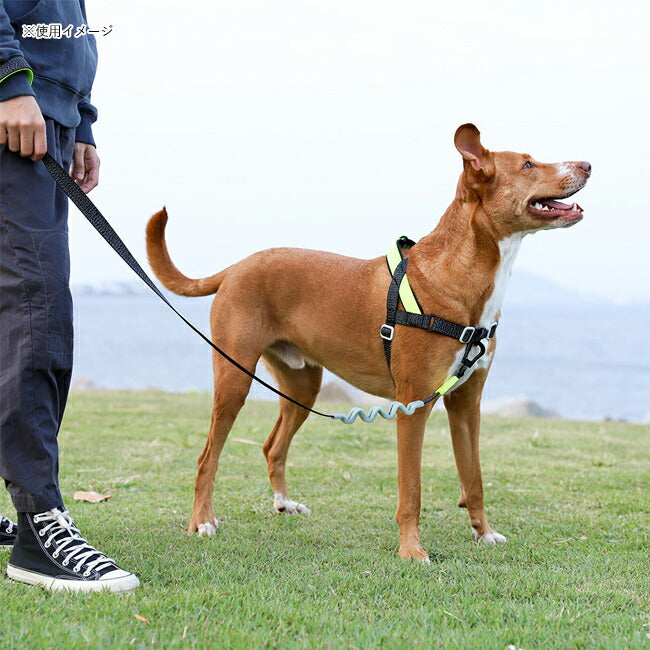 zeedog 059 5