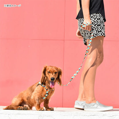 zeedog 061 4