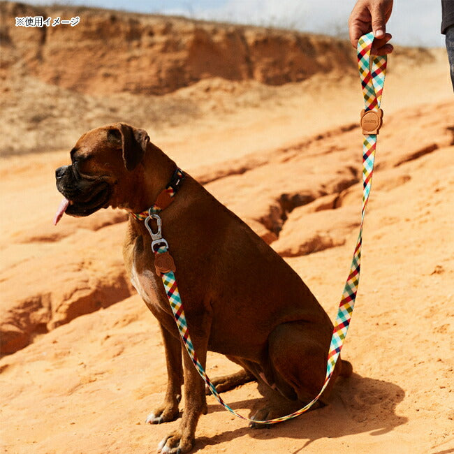zeedog 062 5