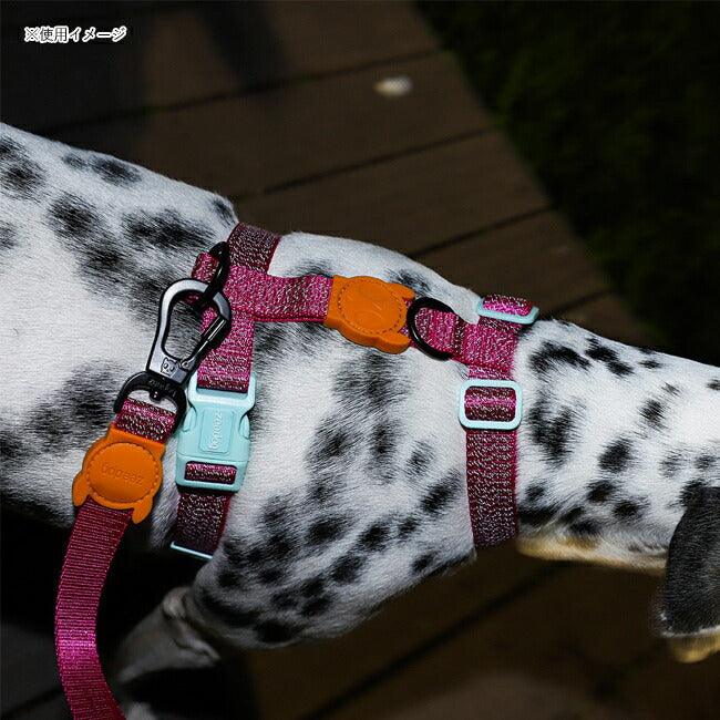 zeedog 063 2