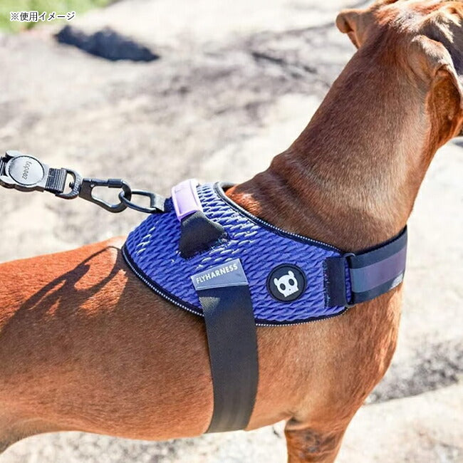 zeedog 067 4