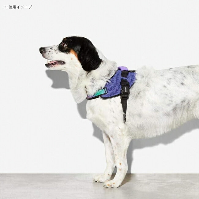 zeedog 067 5