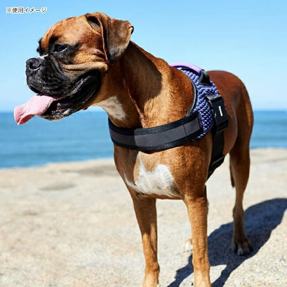 zeedog 069 2