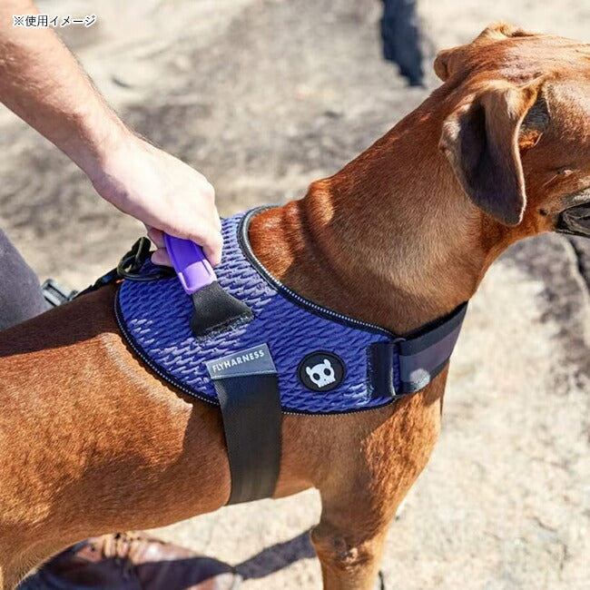 zeedog 069 3