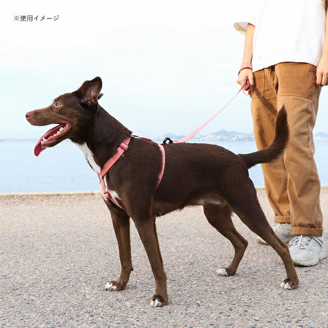 zeedog 073 2