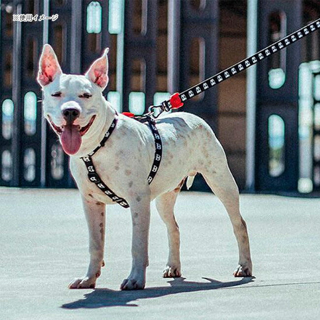 zeedog 074 2